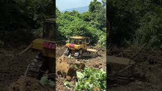 Facing the Challenge of Clearing Oil Palm Fields in the Mountains with the D6R XL Bulldozer [upl. by Hedberg]