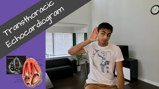 Intro to Transthoracic Echocardiogram [upl. by Bennion]