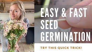 Germinate seeds for the garden with this trick [upl. by Tiffanle289]