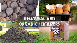 8 Natural and Organic Fertilizers to Grow Big Plants [upl. by Adirem860]