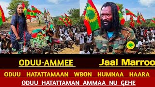 ODUU AMMEE Oduu Afaan Oromo Oduu Guyyaa Haraa injjifannoo WBOn Guyyaa Haraa 12 Sadaasa 2024 [upl. by Yrak669]