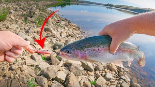 Lure Fishing for Trout at Grassholme Reservoir [upl. by Naus]