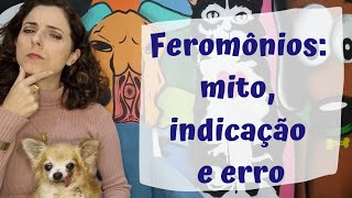 Feromônio para cães e gatos mitos indicações e erros [upl. by Aetnuahs]