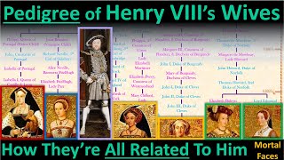 The Pedigree of Henry VIIIs Wives How Theyre All Related to the Tudor King Family Tree Explained [upl. by Karmen299]