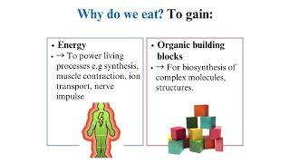 Overview of Metabolism part 1 [upl. by Denbrook]