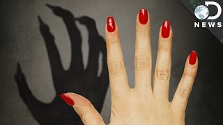 Why Do We Have Fingernails and Not Claws AskDNews [upl. by Walcoff]