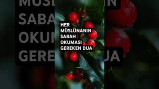 Sabah uyandıgında bu duayı oku sabahduaları günebaşlarken bereket 🕋🤲 [upl. by Aldin]