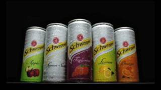 Schweppes Campaign two  25 years later [upl. by Zilevi]