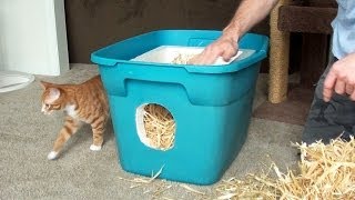 How to Make a Feral Cat Shelter [upl. by Manbahs181]