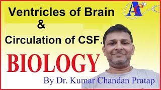 Ventricles of Brain amp Circulation of CSF [upl. by Nerro]