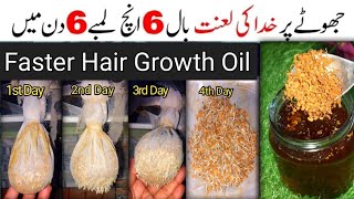 Fenugreek seeds For Faster Hair Growth Oil  Homemade Hair loss Oil  Best Organic Hair Oil [upl. by Ytirahs]