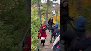 Agawa Canyon Tour Train🍁Popular train trips in North America🍂 [upl. by Erinn]