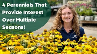 4 Perennials That Provide Interest Over Multiple Seasons [upl. by Yramliw]