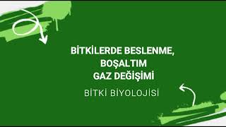 AYT BİTKİLERDE BESLENME BOŞALTIM VE GAZ DEĞİŞİMİ [upl. by Klehm]