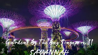 Gardens By The Bay Singapore  Savannah [upl. by Garnette344]