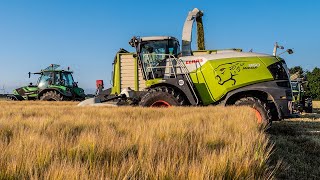 Whole crop silage with a Claas Jaguar 960 by contractor Hut from Zeewolde NL [upl. by Arualana830]