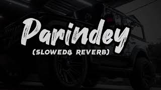 Parindey Yaar Slowed Reverb song Haryanvi Lofi song slowed [upl. by Aseram555]