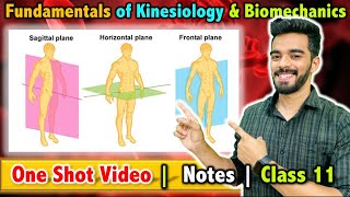 Fundamentals of Kinesiology and Biomechanics in Sports  Class 11  Unit  8  FREE Notes 🔥 [upl. by Drageruaeb]