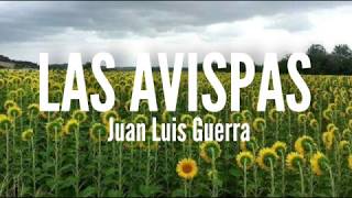 Las Avispas  Juan Luis Guerra Letra [upl. by Till]