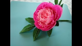 KWIATY Z KREPINY PIWONIA PEONIA TUTORIAL [upl. by Yrakcaz]