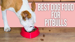 5 Best Dog Food for Pitbulls [upl. by Alcina]