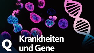 Epigenetik Warum eineiige Zwillinge für die Krebsforschung wichtig sind  Quarks [upl. by Jp]