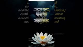 Kanana kuyile ❤️ malayalamlyrics lovesong melody viral [upl. by Orfield995]