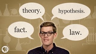 Fact vs Theory vs Hypothesis vs Law… EXPLAINED [upl. by Demmahom]