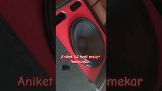 ati pro 1000 watt DJ cabinet box best quality high vibration aniket DJ badi [upl. by Althee]