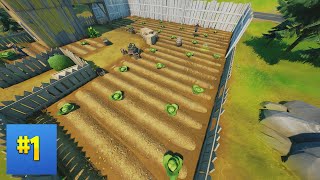 Collect foraged items  Fortnite Week 4 Legendary Quest [upl. by Naawaj]