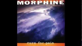 Morphine  Cure for pain Album Version [upl. by Eiramanin884]