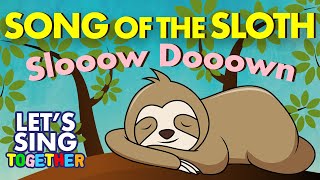 Song of the Sloth Slow Down [upl. by Fahey]