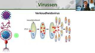 Biologie  Hoe bacteriën schimmels en virussen ons ziek maken  Gezondheid 7 [upl. by Plate]