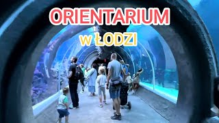 Orientarium w Łodzi 2023  czy warto jechać do oceanarium w łódzkim ZOO Jest lepsze niż Afrykarium [upl. by Erikson]