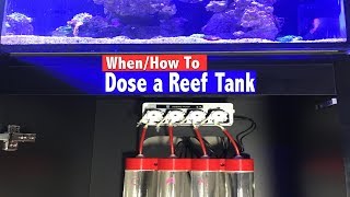 How To Dose a Reef Tank  When do you know you need to dose [upl. by Aranahs]