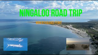 Road Trip Western Australia  Fishing and camping at Ningaloo Station  Winderbandi Point [upl. by Enileve528]