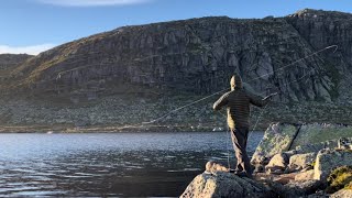 Flotte villmarksopplevelser på HardangerviddaVillrein kongeørn ørret [upl. by Verlie]