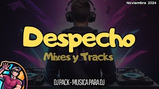 MUSICA DE DESPECHO Y TRACK REMIX EXTENDED  Musica para dj  Noviembre 2024 [upl. by Terrance]