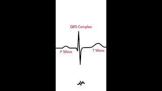 The Cardiac Cycle PQRST [upl. by Ahtamas31]