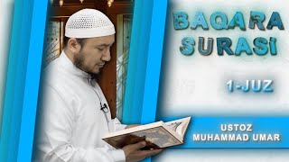 Baqara Surasini oqishni organamiz  1qism  16 oyatlar  Ustoz Muhammad Umar [upl. by Karwan]