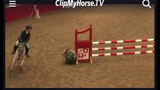 Vernon 1m southview English home pony [upl. by Rimhsak]