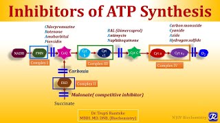 4 Inhibitors of Electron Transport Chain amp Oxidative Phosphorylation  Biological Oxidation [upl. by Orth]