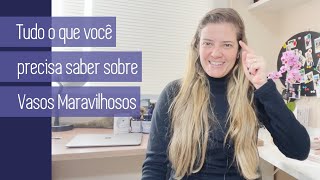 VASOS MARAVILHOSOS  TUDO O QUE VOCÊ PRECISA SABER [upl. by Ahsatin]