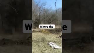 Digging out a Root Cellar next to the Garden homesteading gardening gardeningthepioneerhome [upl. by Acnairb]