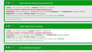 How The Lizzy Support Ticketing System Works [upl. by Itch]
