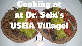 Tys Conscious Kitchen Cooking At Dr Sebis Usha Village Vlog 2 [upl. by Ahsikym]