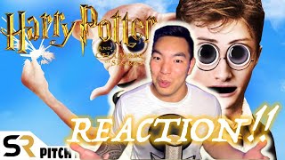 HARRY POTTER AND THE CHAMBER OF SECRETS PITCH MEETING REACTION [upl. by Elehcar59]