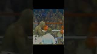 Earnie Shavers 🥊 Knocks Down Larry Holmes 🔥 Boxing Shorts [upl. by Darrick]