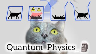 🗿🥶 Quantum Physics Edit2024PhysicsLoverseditRichard P Feynman quantumphysics edit [upl. by Eelessej]