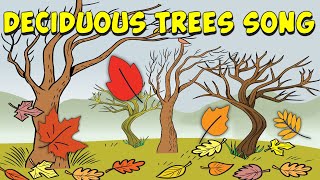 Deciduous Trees Song [upl. by Letsyrk554]